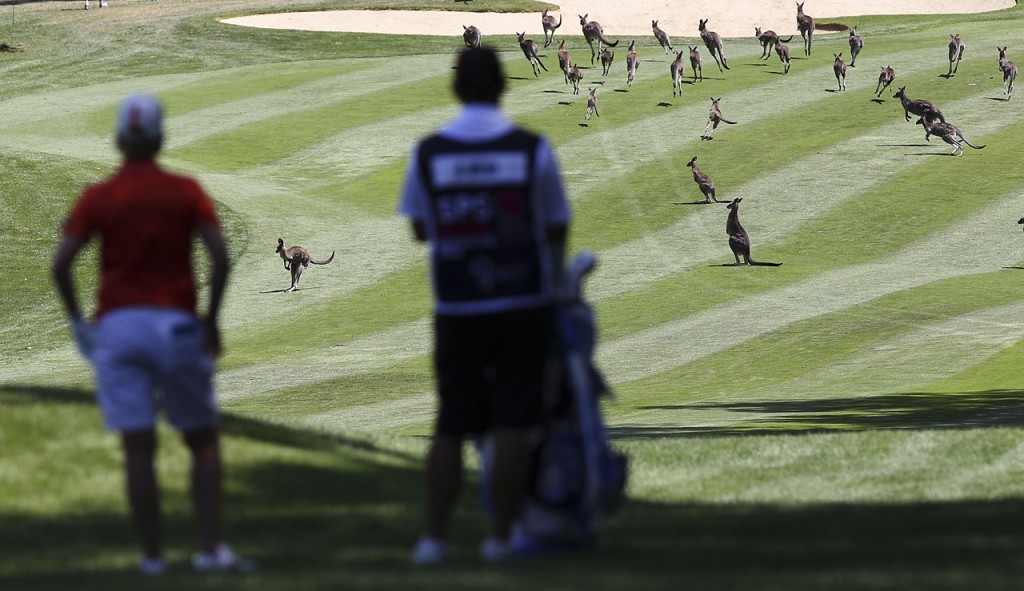 ISPS Handa Australian Open - Day 1