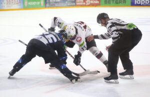 HC Gomel