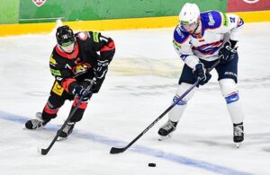 gomel-lokomotiv