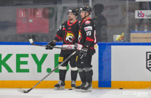 Gomel HC