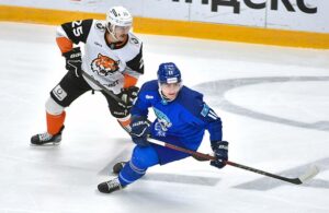 barys-amur