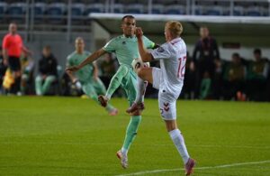 belarus-danmark