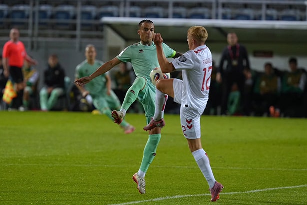 belarus-danmark