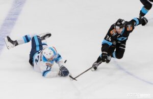 Динамо-Минск & Сибирь