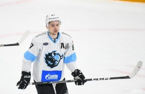 шипачев вадим