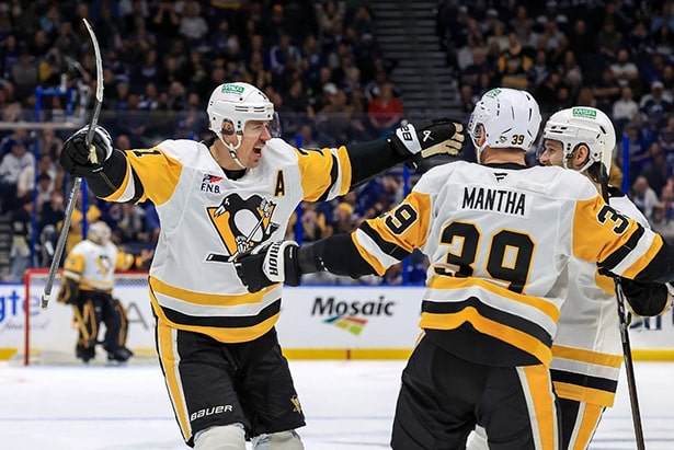 Евгений Владимирович Малкин