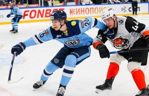 амур-сибирь