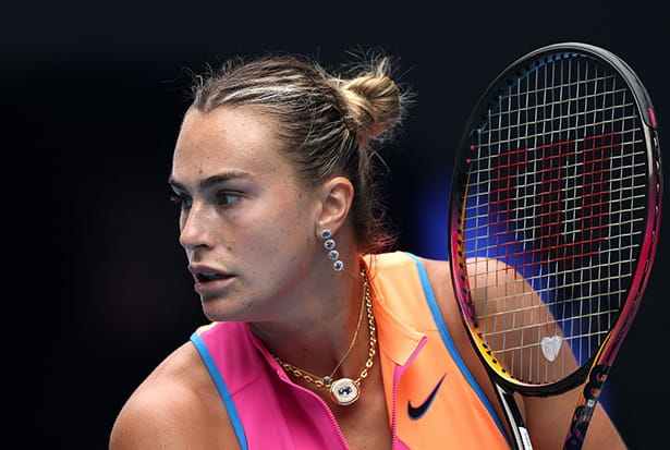 арина сергеевна соболенко