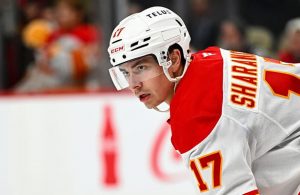 егор александрович шарангович