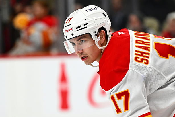 егор александрович шарангович