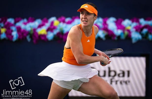 элина свитолина