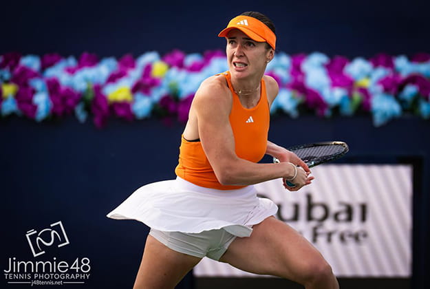 элина свитолина