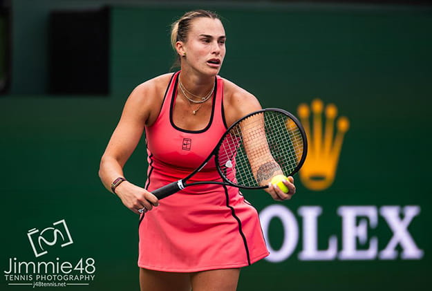 арина сергеевна соболенко