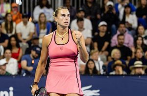 арина сергеевна соболенко