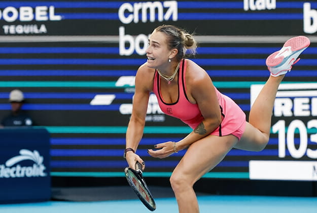 арина сергеевна соболенко