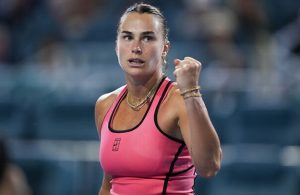 арина сергеевна соболенко