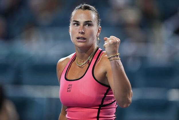 арина сергеевна соболенко