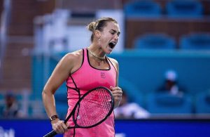 арина сергеевна соболенко