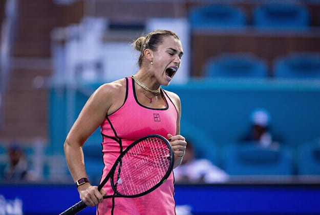 арина сергеевна соболенко