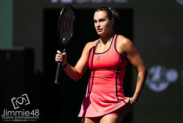 арина сергеевна соболенко