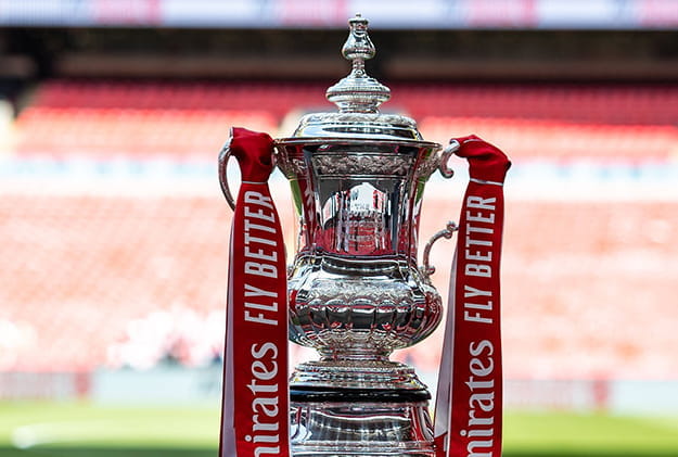 Кубок Англии трофей