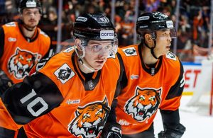 Лихачев Ярослав