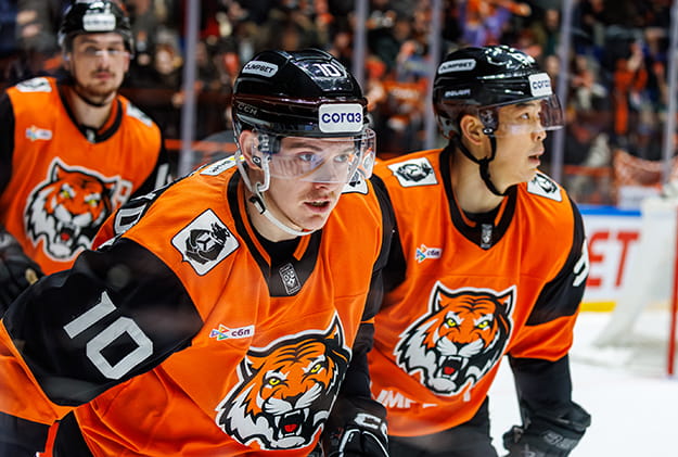 Лихачев Ярослав