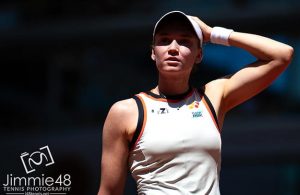 елена андреевна рыбакина
