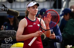 елена андреевна рыбакина