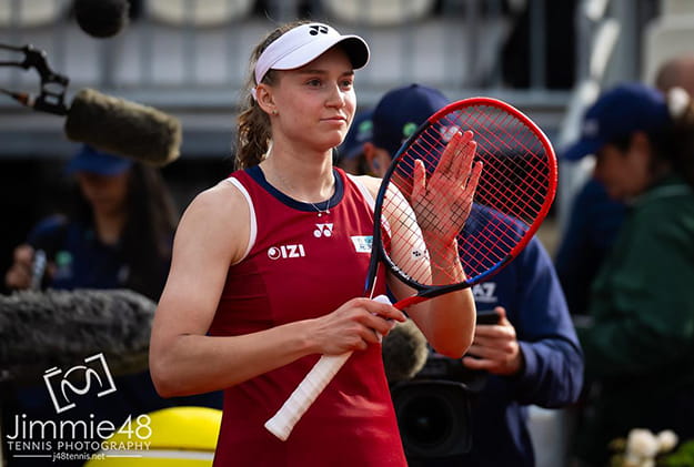 елена андреевна рыбакина
