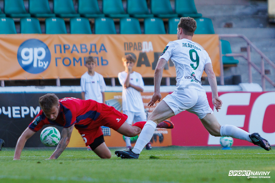 Дмитрий Степанец