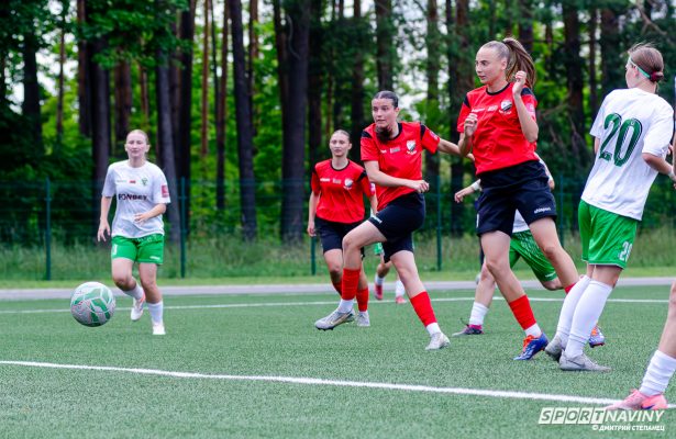 wfc-gomel-wfc-belshina