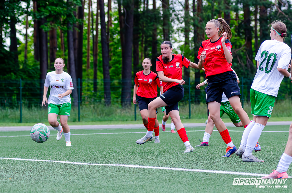 wfc-gomel-wfc-belshina