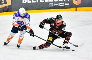 gomel-lokomotiv
