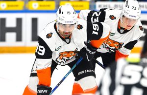 amur-hc