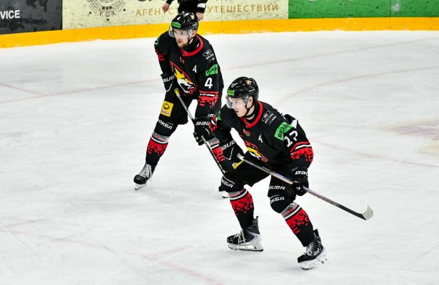 gomel-hc