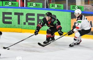 gomel-neman