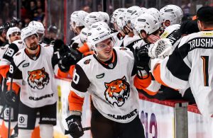 amur-hc