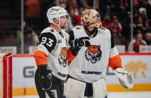 amur-hc