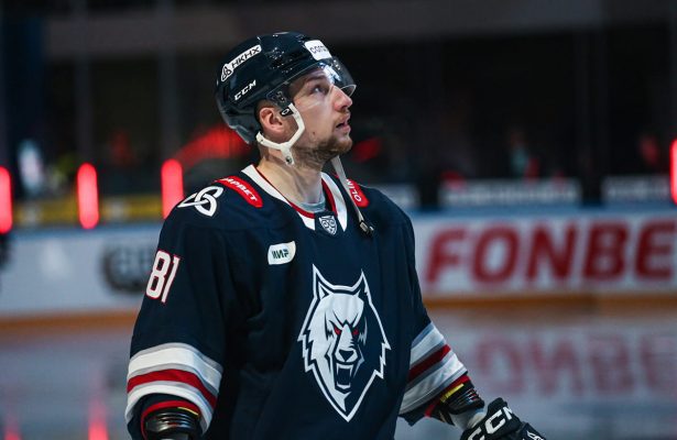 neftehimik-hc